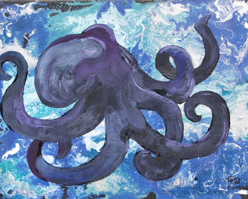 octopus, ośmiornica, obraz, art for sale, oil paiting, E.Gąsienica-Setlak